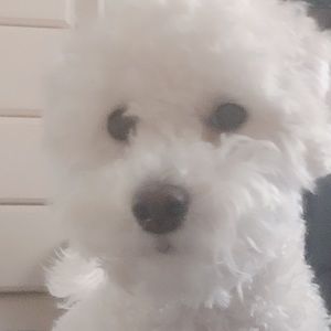 Meet your Posher, Hilary